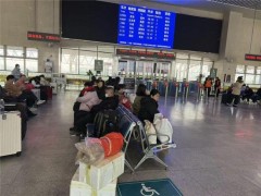 游子返程后备箱被父母的爱装满 沉甸甸的行囊承载深情(图)