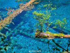 4月1日起九寨沟景区全段恢复开放 旺季票价公布（图）