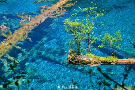 4月1日起九寨沟景区全段恢复开放