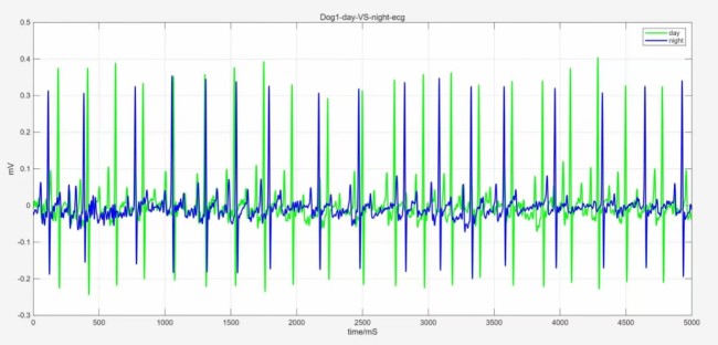娲宝科技发布宠物智能项圈 多模态传感引领宠物健康管理
