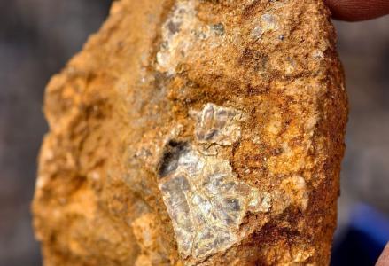 8岁男孩爬山识草预判山下藏金矿 AI验证引关注