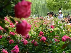 浙江晴热还剩两天 暴雨降温将至 初夏体验短暂结束（图）