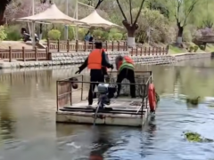 官方回应打捞完的水草被抛回河里 担忧船翻采取措施（图）