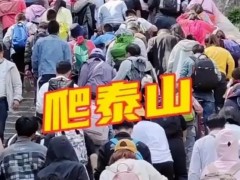 堵山、堵海、堵桥、堵路 究竟咋梗？