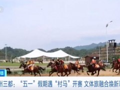 一天超8万人次涌入 又一赛事火了 贵州“村马”引热潮（图）