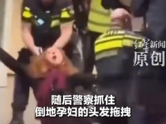 荷兰孕妇被警察拖拽丈夫还击被打（图）